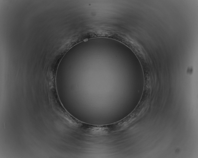 X0000094420465200711211414