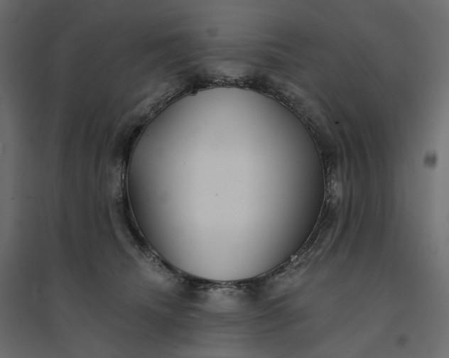 X0000094420468200711211414