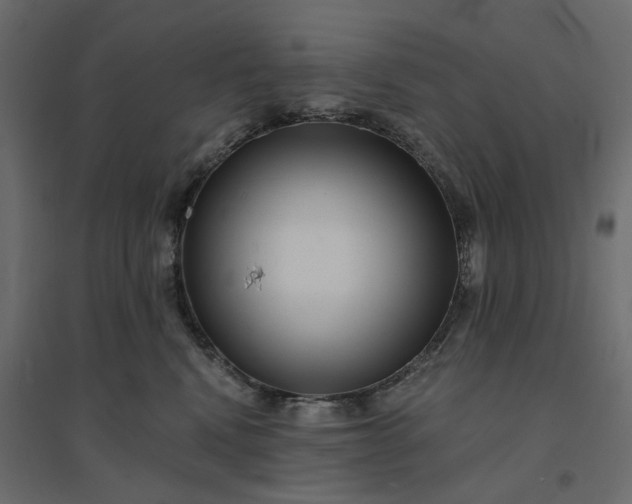 X0000094420472200711211414