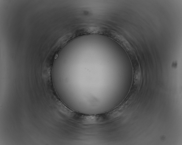 X0000094420473200711211414