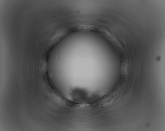 X0000094420474200711211414