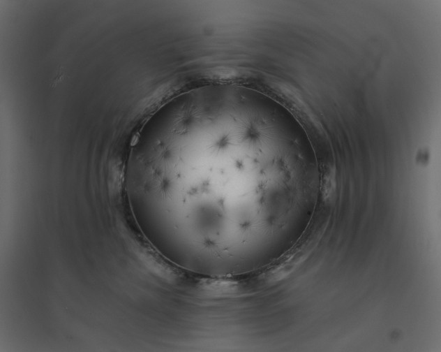 X0000094420476200711211414