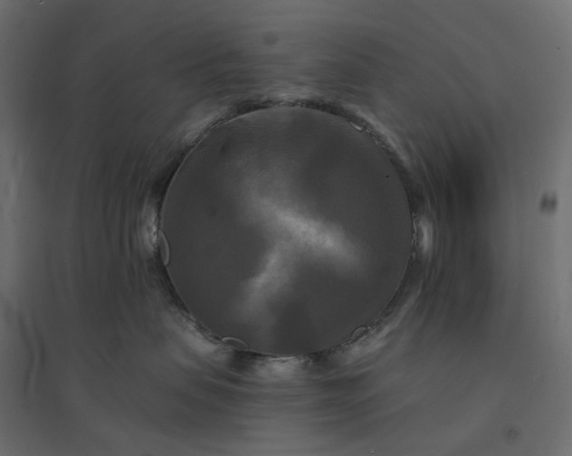 X0000094420479200711211414