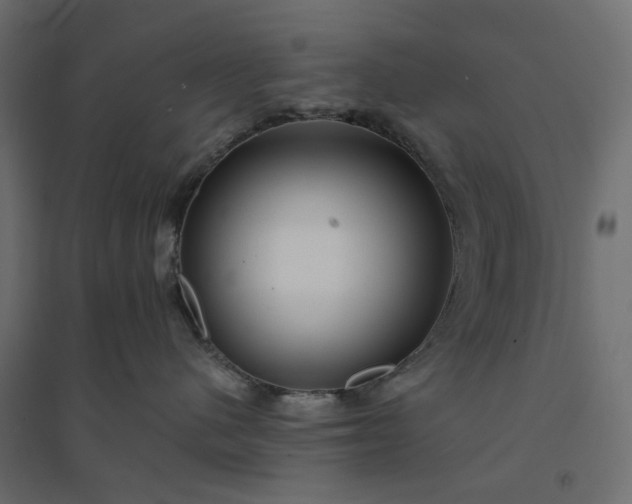 X0000094420480200711211414