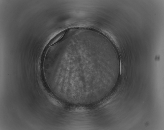 X0000094420483200711211414