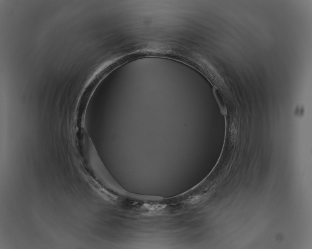 X0000094420484200711211414