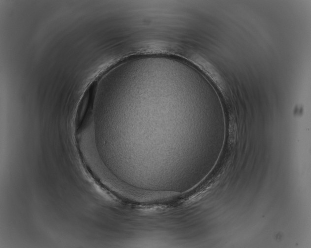 X0000094420485200711211414
