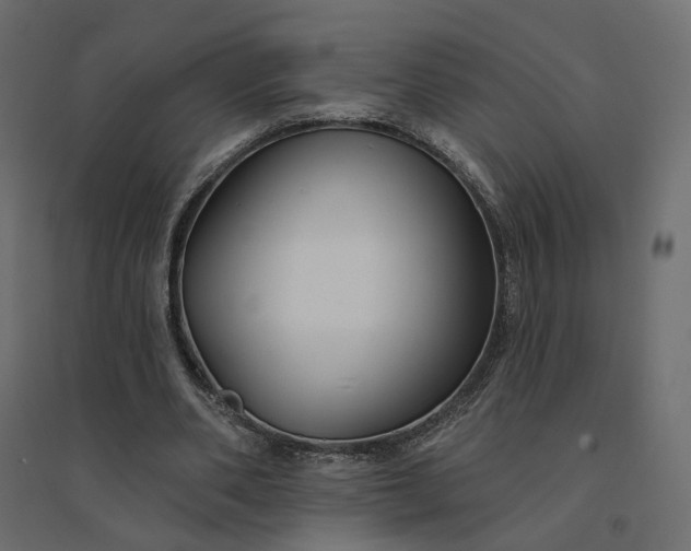 X0000094420486200711211414