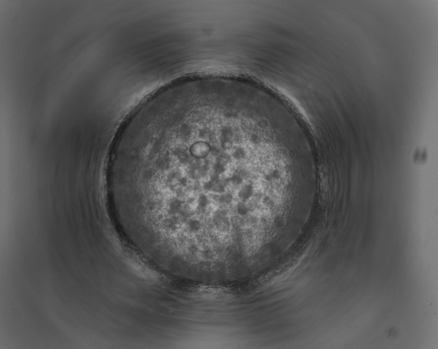X0000094420487200711211414