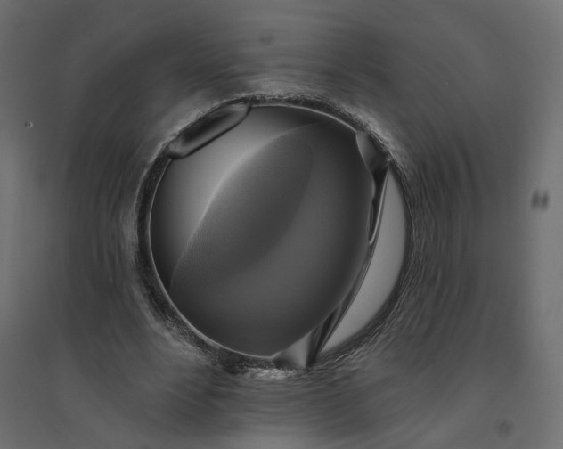X0000094420488200711211414