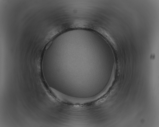 X0000094420489200711211414
