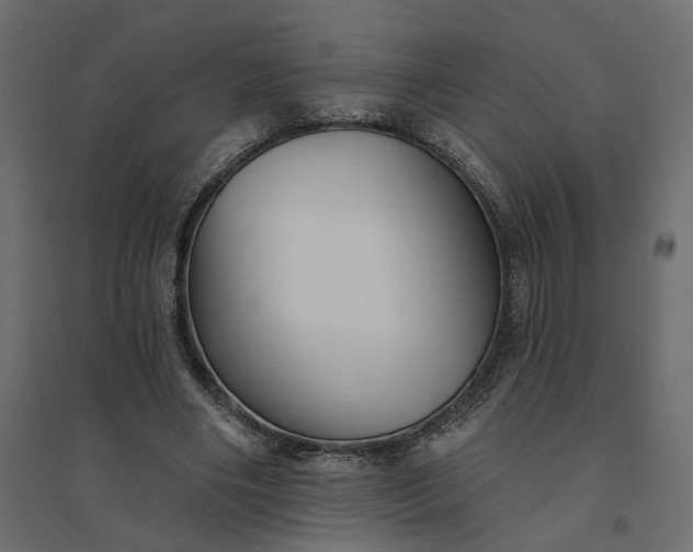 X0000094420490200711211414