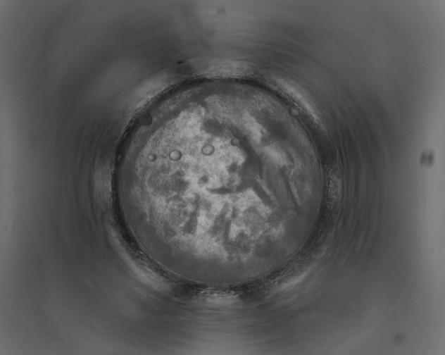 X0000094420491200711211414