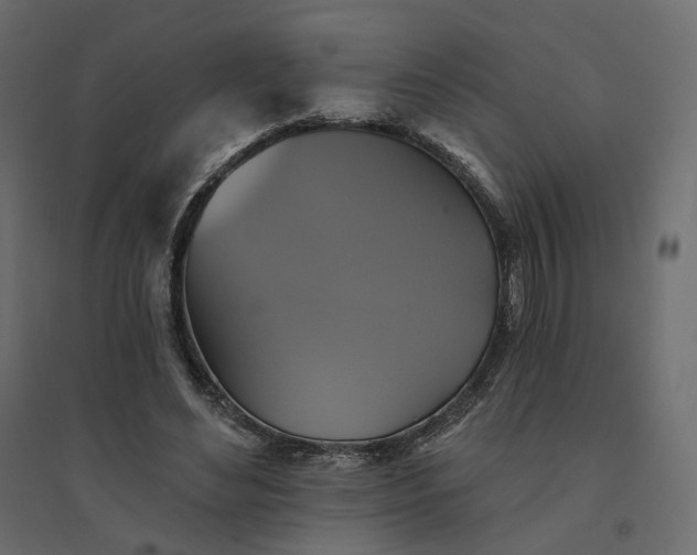 X0000094420492200711211414