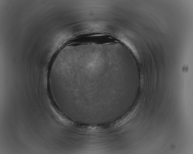 X0000094420493200711211414