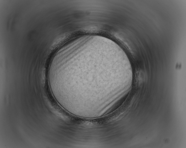 X0000094420494200711211414