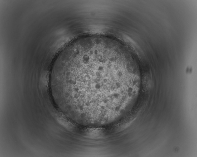 X0000094420495200711211414