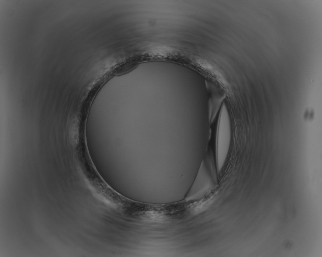 X0000094420496200711211414
