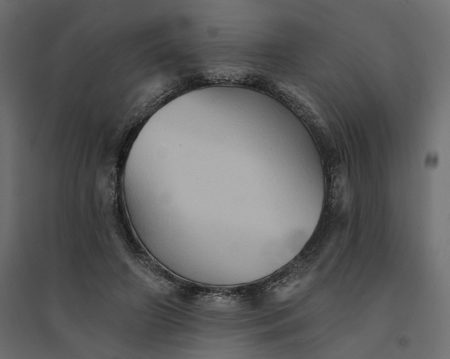 X0000094420498200711211413