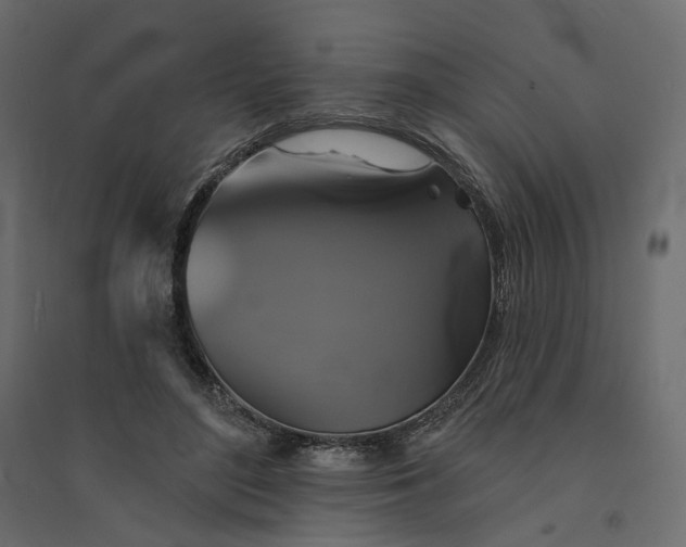 X0000094420500200711211413