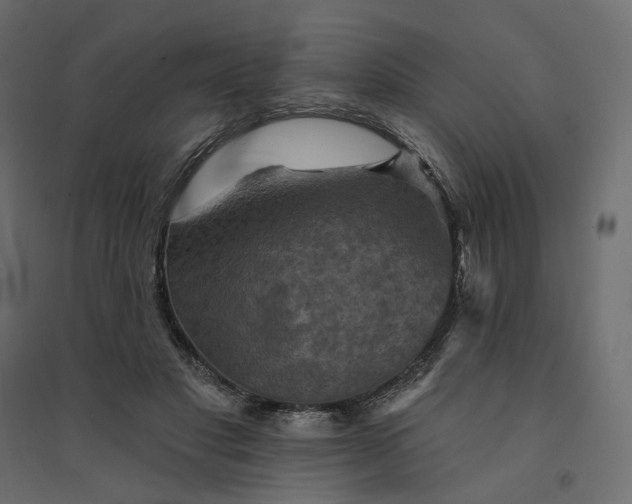 X0000094420501200711211413