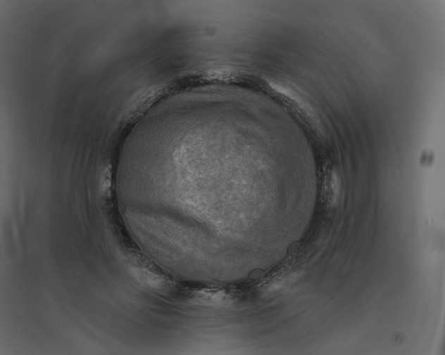 X0000094420502200711211413