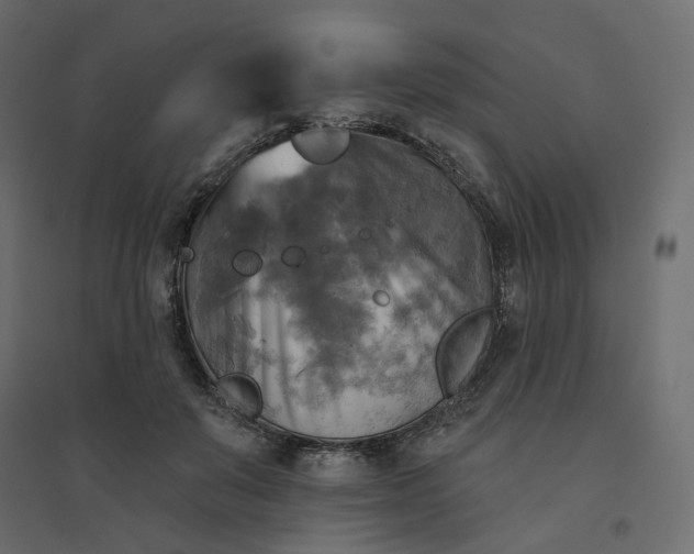 X0000094420503200711211413