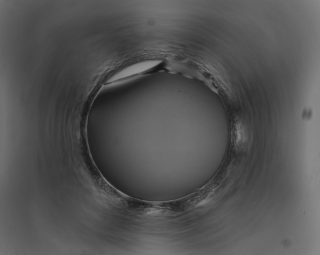 X0000094420504200711211413