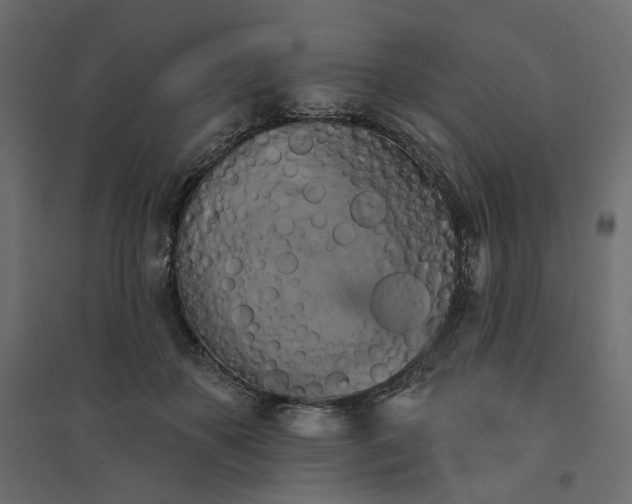 X0000094420507200711211413