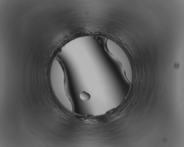 X0000094420508200711211413