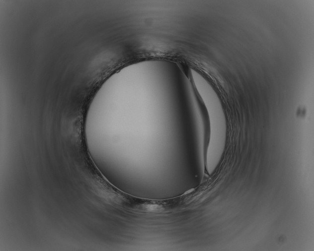 X0000094420509200711211413