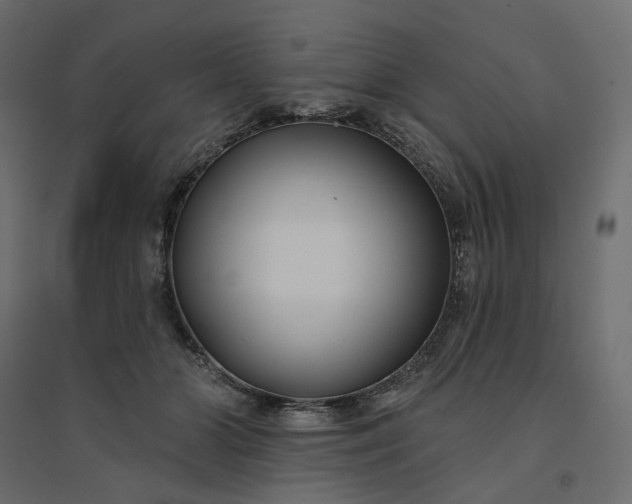 X0000094420510200711211413