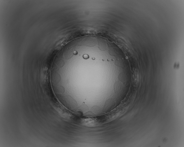 X0000094420511200711211413