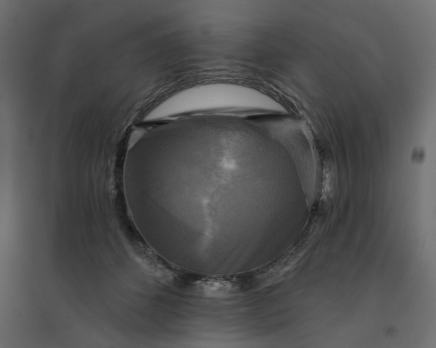 X0000094420512200711211413