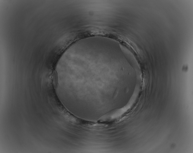 X0000094420513200711211413
