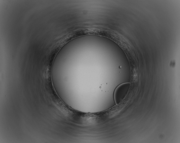 X0000094420514200711211413