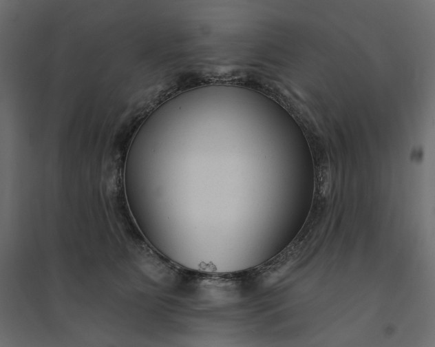 X0000094420515200711211413