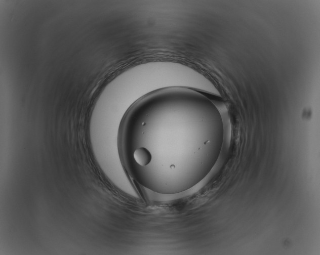 X0000094420516200711211413