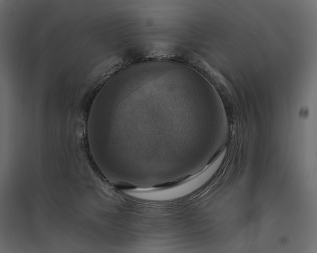 X0000094420517200711211413