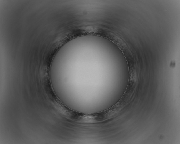 X0000094420518200711211413