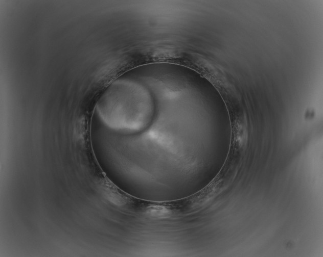X0000094420519200711211413
