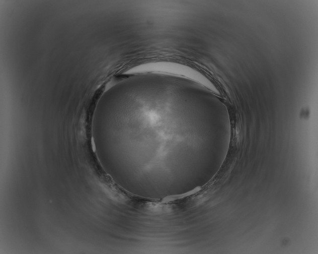 X0000094420520200711211413