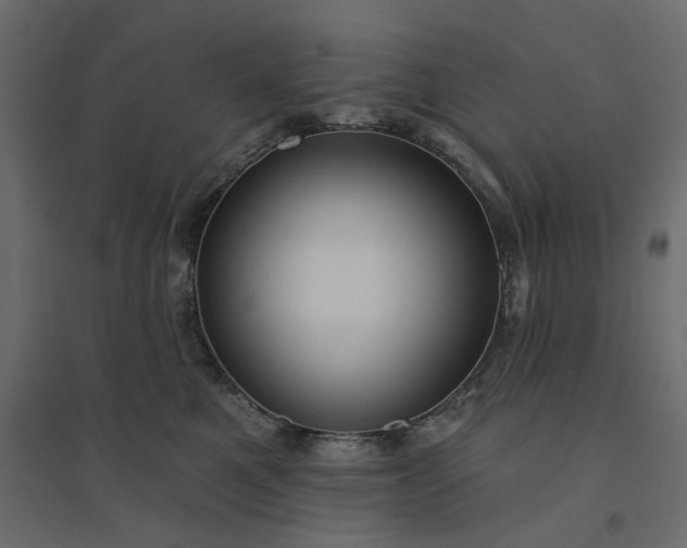 X0000094420521200711211413