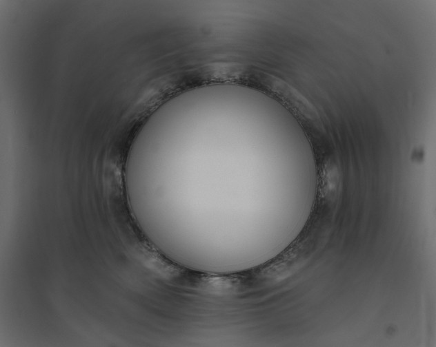 X0000094420522200711211413