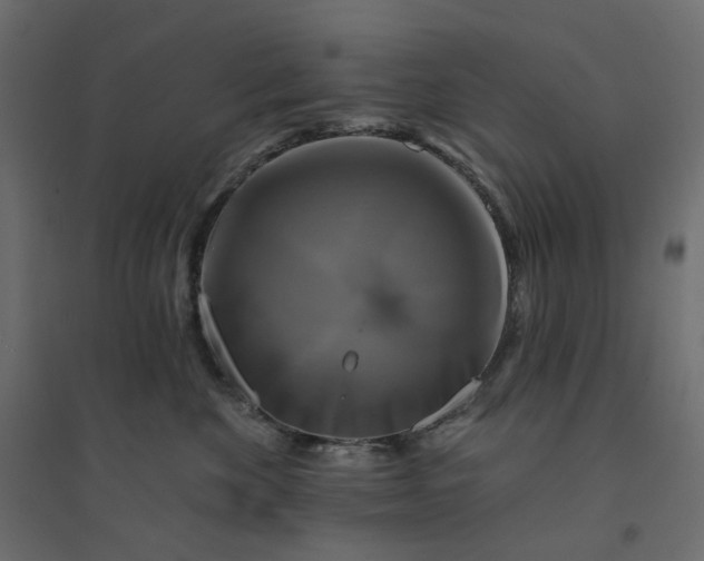 X0000094420524200711211413