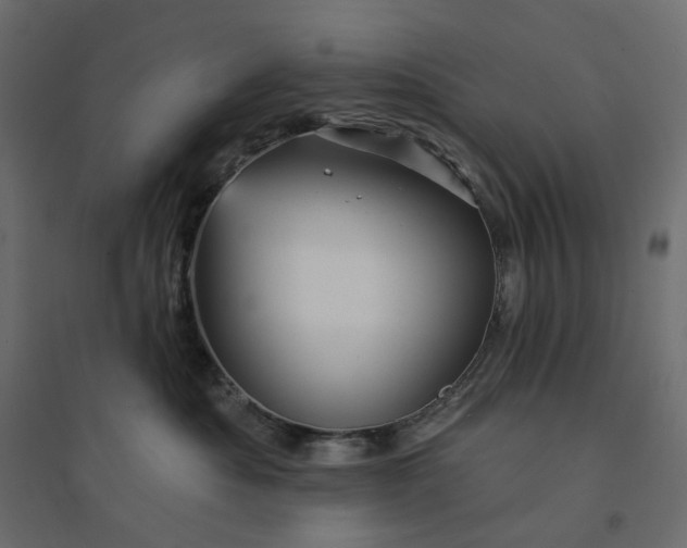 X0000094420525200711211413