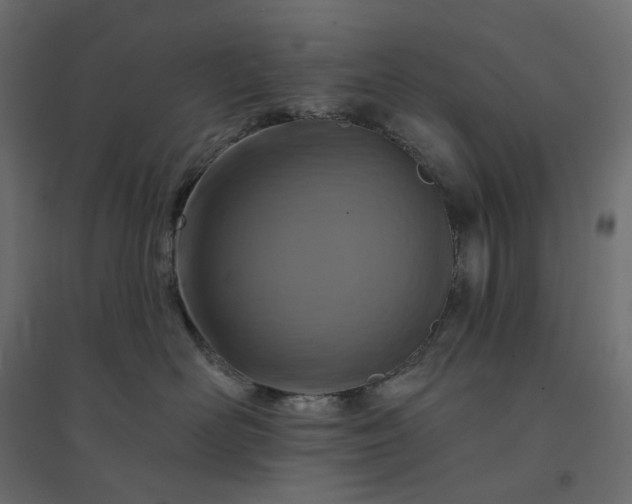 X0000094420526200711211413