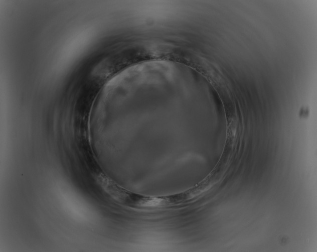 X0000094420527200711211413
