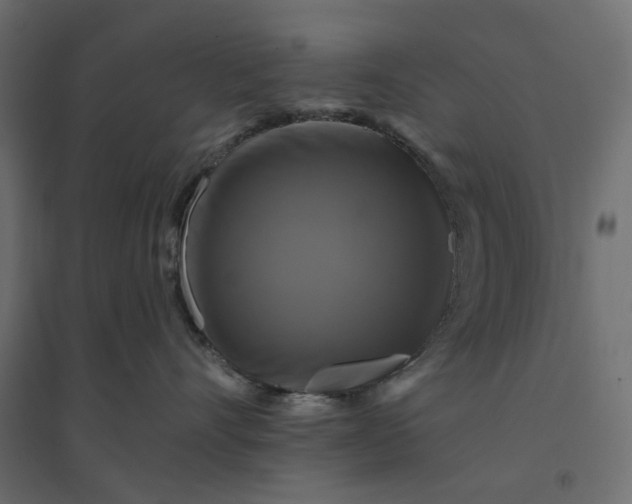 X0000094420528200711211413