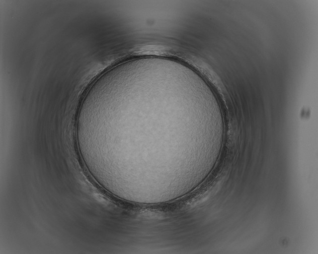 X0000094420529200711211412